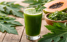 Uống nước ép lá đu đủ mỗi sáng có tác dụng gì?