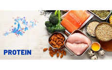 Vai trò của protein trong kiểm soát cân nặng