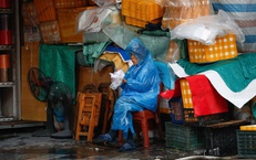 Dù rét buốt, mùa đông 2025–2026 vẫn ấm hơn trung bình nhiều năm