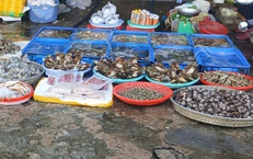 Siết chặt bảo đảm an toàn thực phẩm dịp Tết ở Khánh Hòa