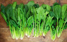 5 loại rau mùa đông giàu chất xơ tốt cho tiêu hóa