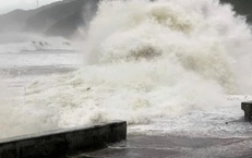 Bão Nokaen khiến nhiều vùng biển nước ta biến động mạnh