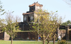 Ngắm mai vàng khoe sắc rực rỡ trong Kinh thành Huế