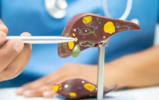 Những thói quen đang gây tổn thương gan mỗi ngày