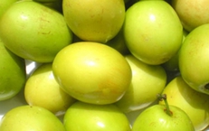 Táo ta có tác dụng gì?