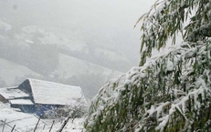 Xuất hiện băng tuyết ở đỉnh Mẫu Sơn, nhiệt giảm còn 0 độ C