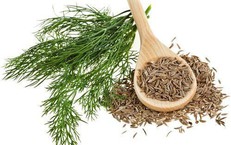 Loại rau gia vị bán khắp chợ không ngờ lại có nhiều tác dụng quý