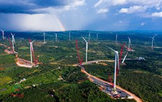 Điện gió Trung Nam Đắk Lắk 1 vi phạm chứng khoán