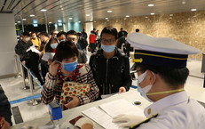 Đà Nẵng chủ động giám sát, phòng chống bệnh do virus Nipah