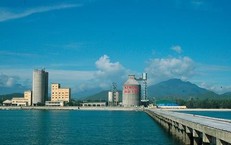 Cổ phiếu HVX của Vicem Hải Vân bị hủy niêm yết bắt buộc