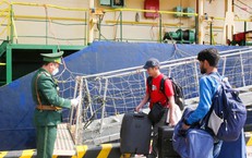 Hải Phòng tăng cường giám sát phòng, chống bệnh do virus Nipah