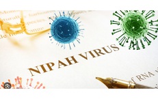 Bộ Y tế yêu cầu khoanh vùng, xử lý triệt để nếu xuất hiện ca bệnh do virus Nipah
