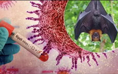 Philippines cảnh báo người dân về virus Nipah