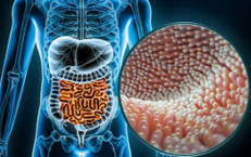 Cách nuôi dưỡng ‘bộ não thứ hai’ khỏe mạnh?