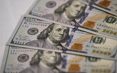 Tỷ giá hôm nay 5/1: Giá USD và NDT cùng đi lên