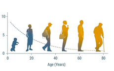 NMN: nền tảng sức khỏe theo góc nhìn khoa học