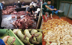 Những tác hại kinh hoàng với sức khoẻ khi dùng thực phẩm bẩn