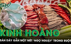 Kinh hoàng sán dây gần một mét ngọ nguậy trong ruột