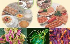 Bộ Y tế: Chủ động giám sát mối nguy ô nhiễm thực phẩm, phòng ngừa ngộ độc