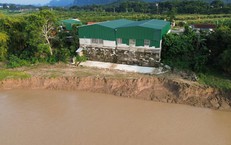 Sông Lam 'nuốt' đất vườn, áp sát nhà dân