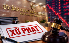 Công ty TNHH Đầu tư Phúc Hậu vi phạm công bố thông tin liên quan trái phiếu