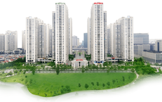 Quy mô phát hành trái phiếu của Geleximco lớn thế nào?