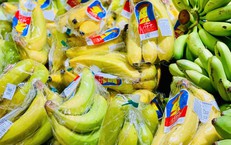 Loại quả bán đầy chợ Việt giá rẻ bèo được người Nhật tấm tắc khen ngon