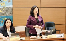 Bộ trưởng Đào Hồng Lan: Có những dự án chưa hoàn thành giải ngân nhưng đã hoạt động hiệu quả