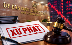 Xử phạt Công ty Cổ phần Đầu tư Quang Thuận vì vi phạm công bố thông tin