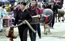 Nghi lễ cúng hồn trâu của người Lự
