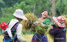 Vẻ đẹp bình dị của người phụ nữ Việt Nam: Từ phố thị đến vùng cao