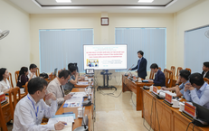 Nguy cơ mắc nhồi máu cơ tim, đột quỵ ở người trưởng thành vùng Bắc Quảng Trị