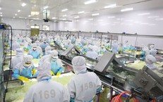 Công ty Cổ phần Thực phẩm G.C bị phạt 425 triệu đồng