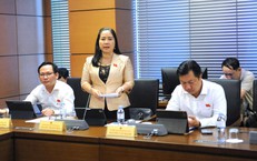 ĐBQH mong người lao động được nghỉ ngày 27/7 hưởng nguyên lương từ năm 2027
