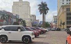 Nghệ An đề xuất thu phí đỗ ô tô tạm thời trên vỉa hè, lòng đường