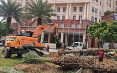 Hiện trạng nút giao Dương Đình Nghệ - Mễ Trì trước ngày xây hầm chui 655m