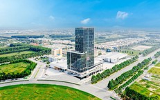 Công ty Cổ phần Kinh doanh và Phát triển Bình Dương vi phạm chứng khoán