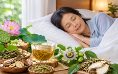 6 cây thuốc nam quanh nhà chữa khó ngủ, mất ngủ tuổi 50