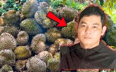 Cháu ruột phun thuốc diệt cỏ phá vườn sầu riêng của chú vì mâu thuẫn 