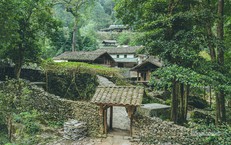 Bên trong 'làng Địa ngục' giữa rừng già Yên Minh