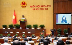 Chính thức trình Quốc hội loạt chính sách đột phá về quản lý an toàn thực phẩm