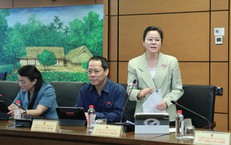 ĐBQH đề xuất lập lại Chi cục ATTP để nâng cao hiệu quả quản lý