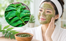 Tác dụng của lá Neem Ấn Độ với sức khỏe