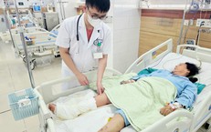 Đắp lá ớt chữa vết thương, người phụ nữ 65 tuổi nguy cơ mất chân