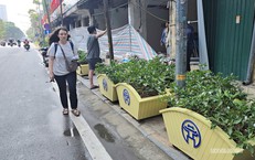 Hàng loạt bồn cây lớn 'án ngữ' vỉa hè phố Lê Duẩn