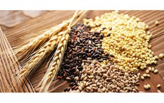 Cháo ngũ cốc - món ăn dưỡng sinh tốt cho người trung niên