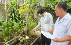 Diễn biến mới dịch sốt xuất huyết tại Thanh Hoá