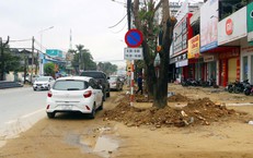 Truy tố ông chủ Công ty Cây xanh Công Minh hưởng lợi  hơn 264 tỉ đồng