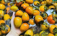 5 nhóm người nên thận trọng khi ăn quả hồng ngâm