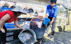 Sốt xuất huyết và tay chân miệng diễn biến phức tạp tại TPHCM